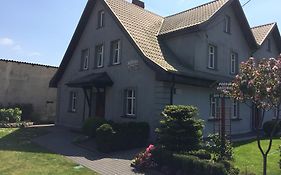 Bluszcz
